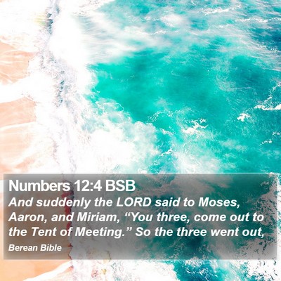 Numbers 12:4 BSB Bible Verse Image