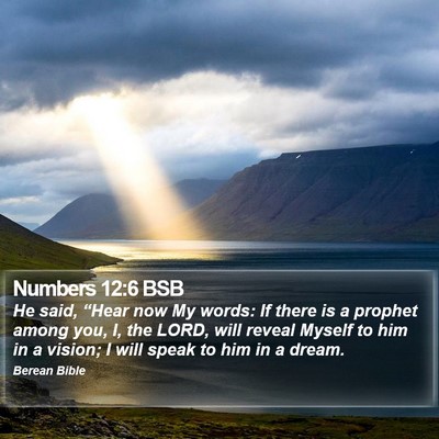 Numbers 12:6 BSB Bible Verse Image