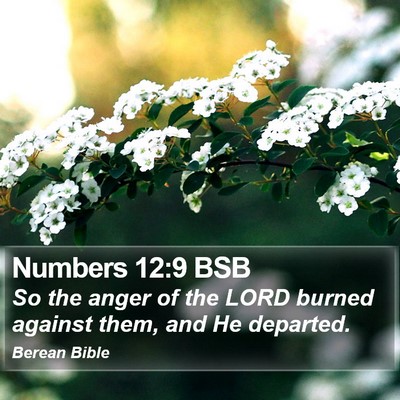 Numbers 12:9 BSB Bible Verse Image