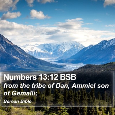 Numbers 13:12 BSB Bible Verse Image