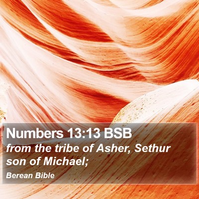 Numbers 13:13 BSB Bible Verse Image