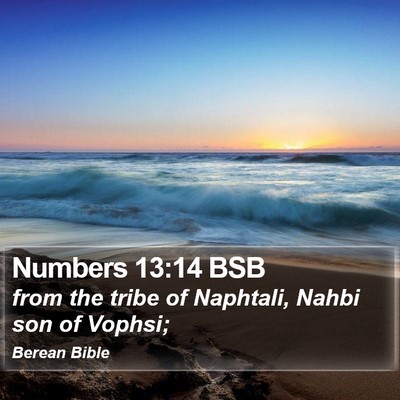 Numbers 13:14 BSB Bible Verse Image