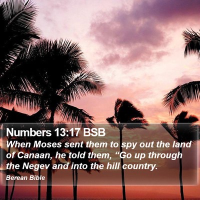 Numbers 13:17 BSB Bible Verse Image