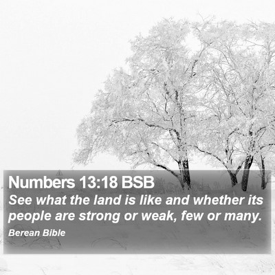 Numbers 13:18 BSB Bible Verse Image