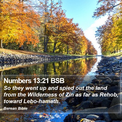 Numbers 13:21 BSB Bible Verse Image