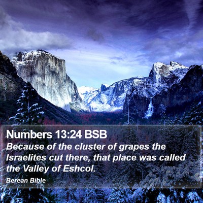 Numbers 13:24 BSB Bible Verse Image
