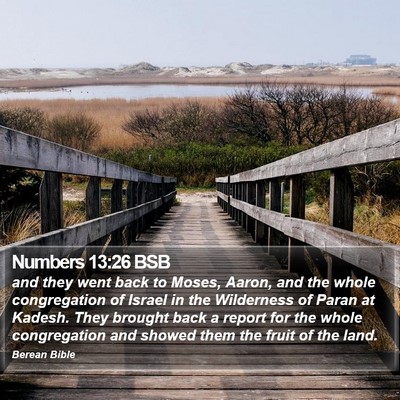 Numbers 13:26 BSB Bible Verse Image