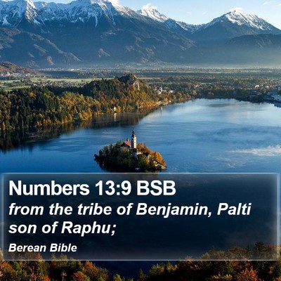 Numbers 13:9 BSB Bible Verse Image