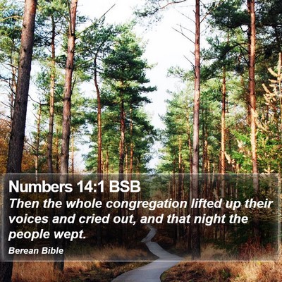 Numbers 14:1 BSB Bible Verse Image