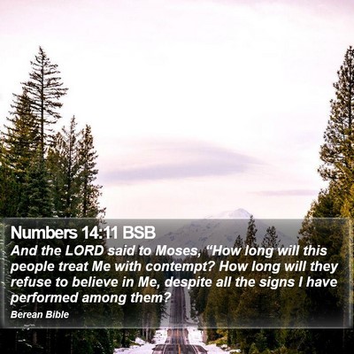 Numbers 14:11 BSB Bible Verse Image
