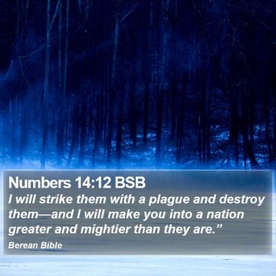 Numbers 14:12 BSB Bible Verse Image