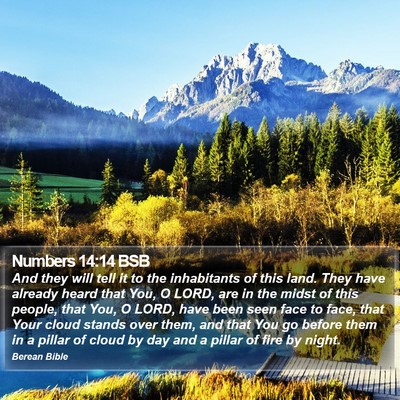 Numbers 14:14 BSB Bible Verse Image