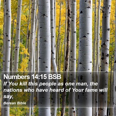 Numbers 14:15 BSB Bible Verse Image