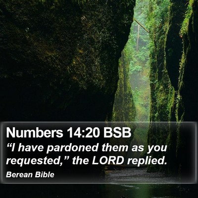 Numbers 14:20 BSB Bible Verse Image