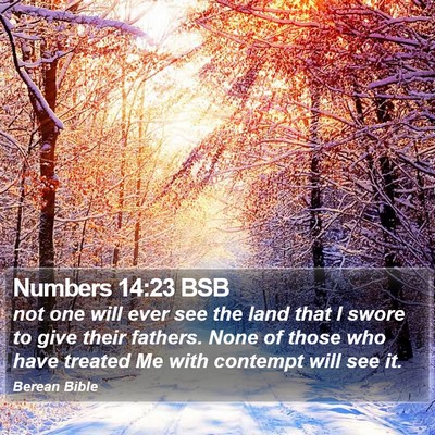 Numbers 14:23 BSB Bible Verse Image