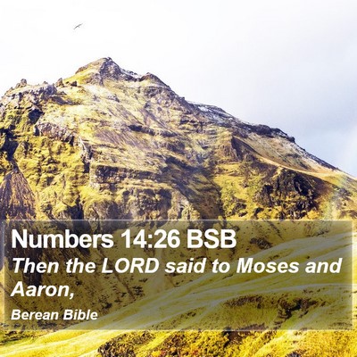 Numbers 14:26 BSB Bible Verse Image