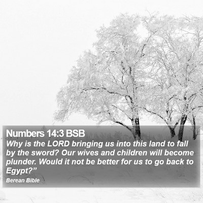 Numbers 14:3 BSB Bible Verse Image