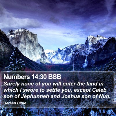 Numbers 14:30 BSB Bible Verse Image