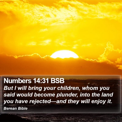 Numbers 14:31 BSB Bible Verse Image