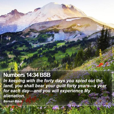 Numbers 14:34 BSB Bible Verse Image