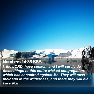 Numbers 14:35 BSB Bible Verse Image