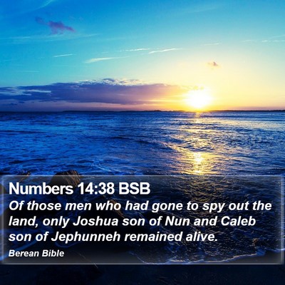 Numbers 14:38 BSB Bible Verse Image