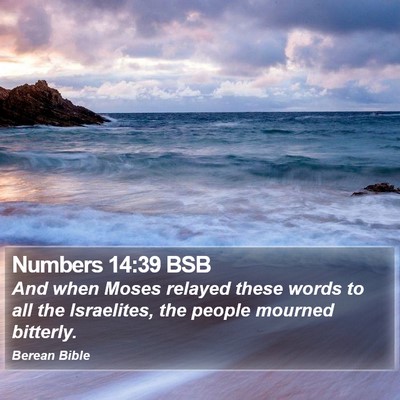 Numbers 14:39 BSB Bible Verse Image