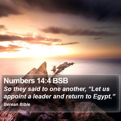 Numbers 14:4 BSB Bible Verse Image