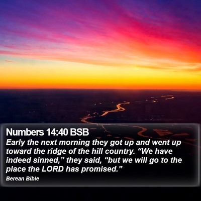 Numbers 14:40 BSB Bible Verse Image
