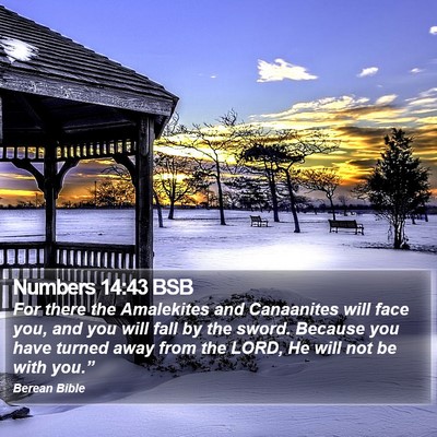 Numbers 14:43 BSB Bible Verse Image