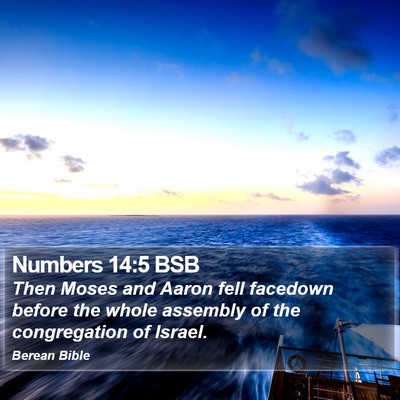 Numbers 14:5 BSB Bible Verse Image