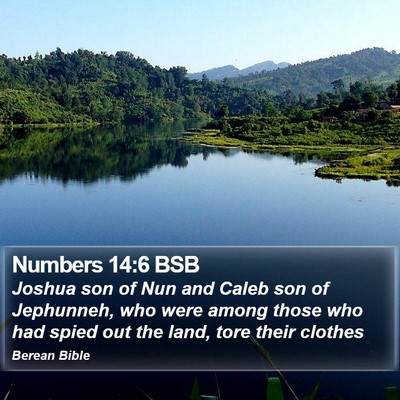 Numbers 14:6 BSB Bible Verse Image