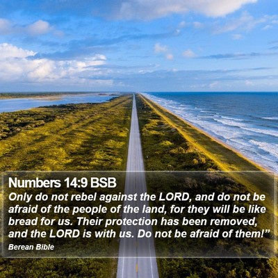 Numbers 14:9 BSB Bible Verse Image