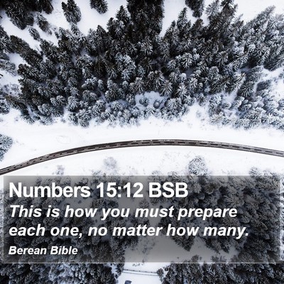 Numbers 15:12 BSB Bible Verse Image