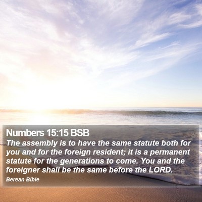 Numbers 15:15 BSB Bible Verse Image