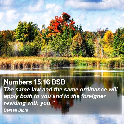 Numbers 15:16 BSB Bible Verse Image