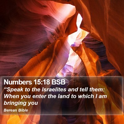 Numbers 15:18 BSB Bible Verse Image