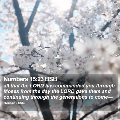Numbers 15:23 BSB Bible Verse Image