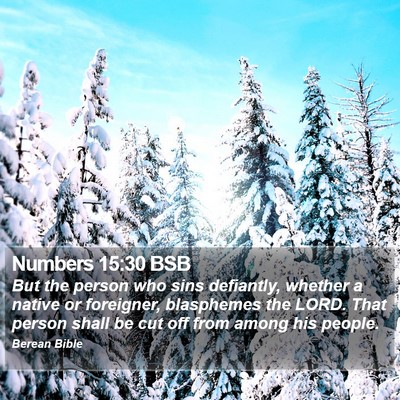 Numbers 15:30 BSB Bible Verse Image