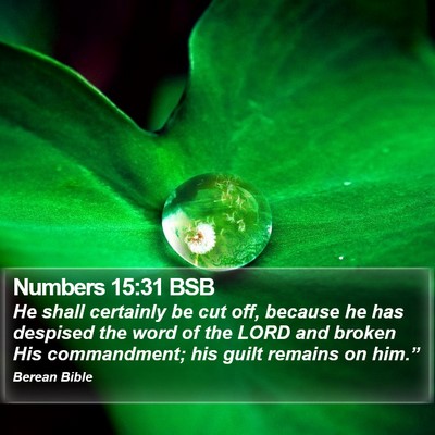 Numbers 15:31 BSB Bible Verse Image
