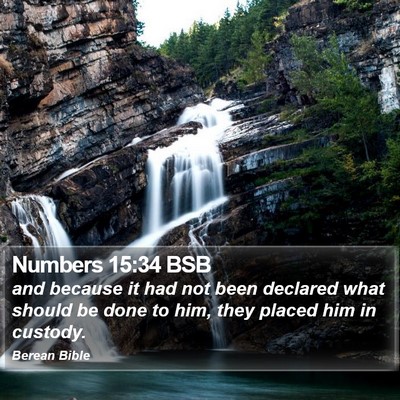 Numbers 15:34 BSB Bible Verse Image