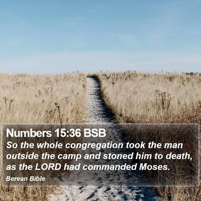 Numbers 15:36 BSB Bible Verse Image