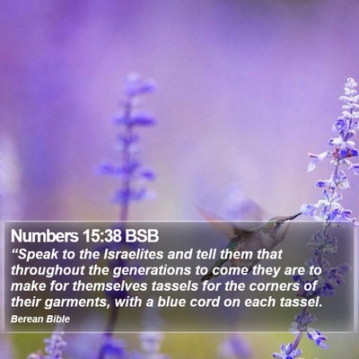 Numbers 15:38 BSB Bible Verse Image
