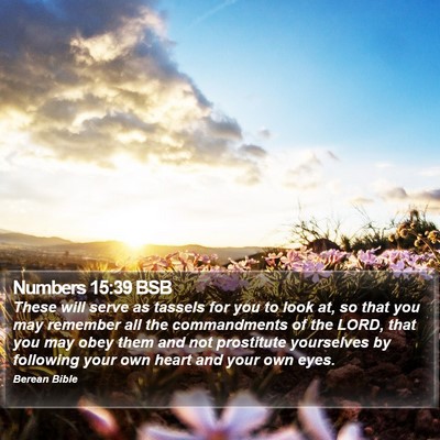 Numbers 15:39 BSB Bible Verse Image