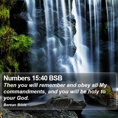 Numbers 15:40 BSB Bible Verse Image