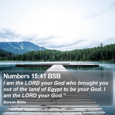 Numbers 15:41 BSB Bible Verse Image