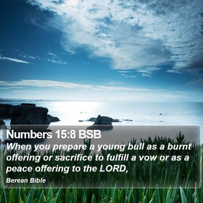 Numbers 15:8 BSB Bible Verse Image