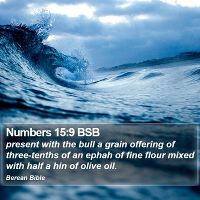 Numbers 15:9 BSB Bible Verse Image