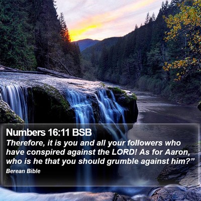 Numbers 16:11 BSB Bible Verse Image