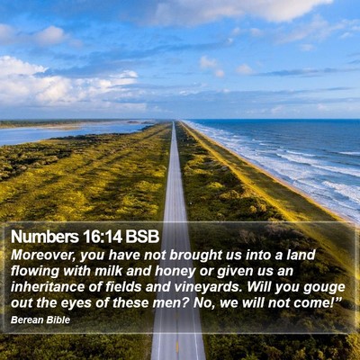 Numbers 16:14 BSB Bible Verse Image